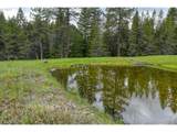 68868 Forest Service 3030 Rd - Photo 23