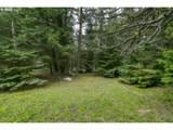 68868 Forest Service 3030 Rd - Photo 29