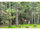68868 Forest Service 3030 Rd - Photo 8