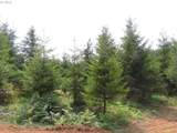  Mill Creek Lane - Photo 10