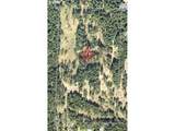 86830 Northill Ranch Rd - Photo 14