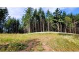 86830 Northill Ranch Rd - Photo 7
