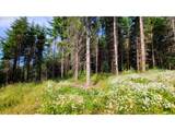 86830 Northill Ranch Rd - Photo 9