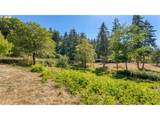 94342 Sether Street Ln - Photo 27