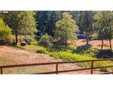 94342 Sether Street Ln - Photo 29