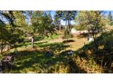 94342 Sether Street Ln - Photo 36