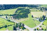 0 Canyonville-Riddle Rd - Photo 2