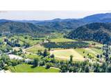 0 Canyonville-Riddle Rd - Photo 3