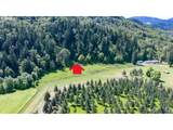 0 Canyonville-Riddle Rd - Photo 7