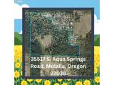 35517 Aqua Springs Rd - Photo 1