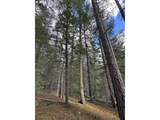  Hwy 97 - Photo 17