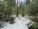  Hwy 97 - Photo 21