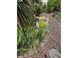 634 Ebb Ave - Photo 47