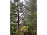 6232 Coyote Creek Rd - Photo 10