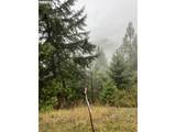 6232 Coyote Creek Rd - Photo 14