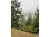 6232 Coyote Creek Rd - Photo 15