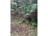 6232 Coyote Creek Rd - Photo 18