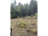 6232 Coyote Creek Rd - Photo 19