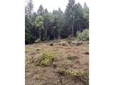6232 Coyote Creek Rd - Photo 20