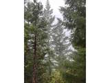6232 Coyote Creek Rd - Photo 9
