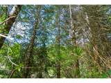 0 Siletz Hwy - Photo 10