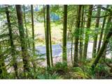 0 Siletz Hwy - Photo 12