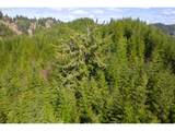 0 Siletz Hwy - Photo 17