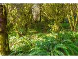 0 Siletz Hwy - Photo 6
