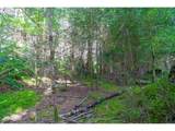 0 Siletz Hwy - Photo 8