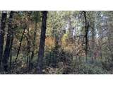 86134 Lorane Hwy - Photo 2