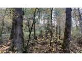 86134 Lorane Hwy - Photo 4