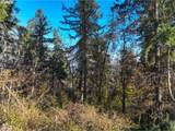 2639 Cupola Dr - Photo 8