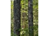  Forest Road 4610 - Photo 1