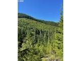  Forest Road 4610 - Photo 11