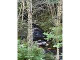  Forest Road 4610 - Photo 2