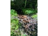  Forest Road 4610 - Photo 3