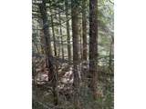  Forest Road 4610 - Photo 4