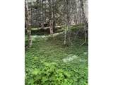  Forest Road 4610 - Photo 6