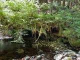  Forest Road 4610 - Photo 8