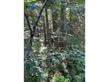  Forest Road 4610 - Photo 9