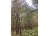  Cg - Lorane Rd - Photo 10