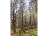  Cg - Lorane Rd - Photo 11