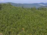  Cg - Lorane Rd - Photo 15