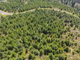  Cg - Lorane Rd - Photo 17