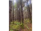  Cg - Lorane Rd - Photo 8