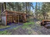91638 Horse Creek Rd - Photo 41
