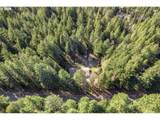 91638 Horse Creek Rd - Photo 42