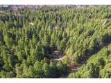 91638 Horse Creek Rd - Photo 43