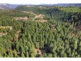 91638 Horse Creek Rd - Photo 45