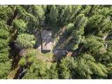91638 Horse Creek Rd - Photo 46